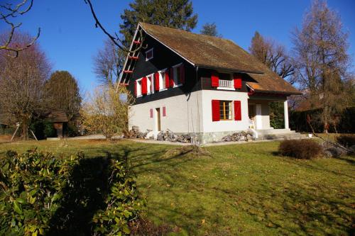 Angel Services - Le Port - image 7