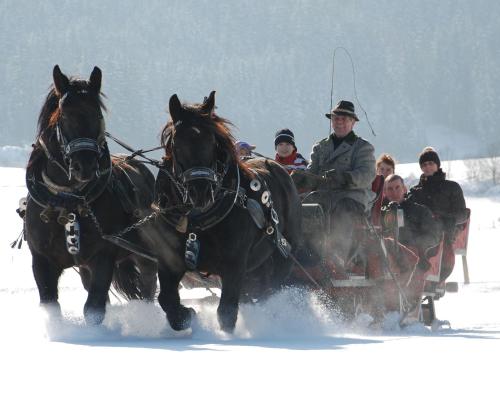 Bio-Bauernhof Samerhof - image 5