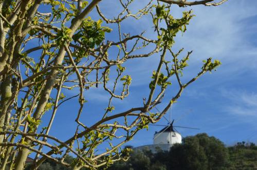 Quinta do Piloto - image 5