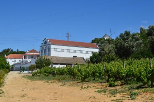 Quinta do Piloto - image 9