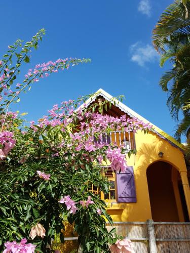 Mayol' Villa - Location, gîte - Capesterre-Belle-Eau