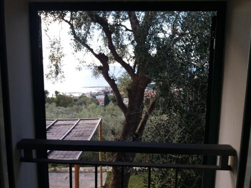 La Torretta, Imperia (foto 7)