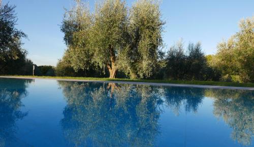 Agriturismo La Pieve - main image