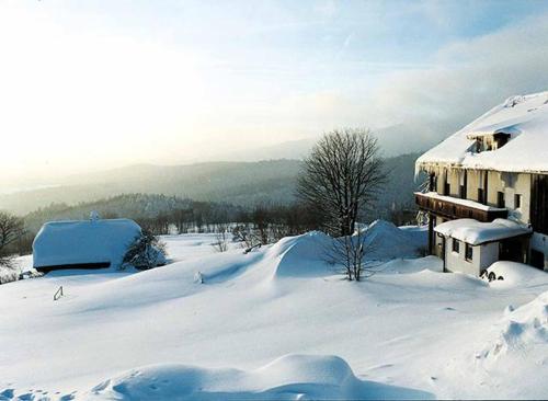 Pension Draxlerhof - image 2