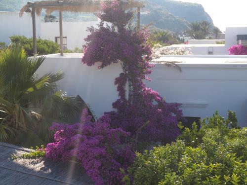  Casa Ada in Stromboli