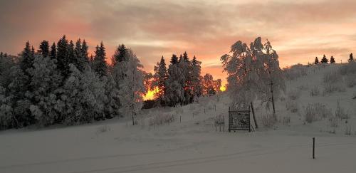 Millestgården Eco lodge - image 11