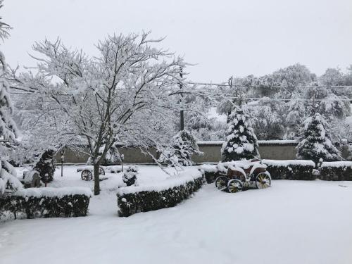Hotel Divetsite - image 8