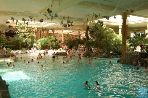 Swimming pool, Apartments Golfhof in Winterberg