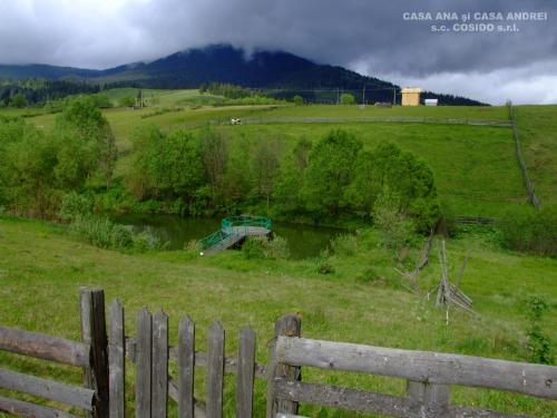 Casa Andrei Vatra Dornei