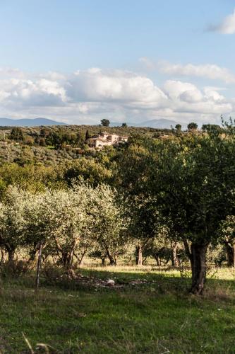 Tenuta San Felice - image 12