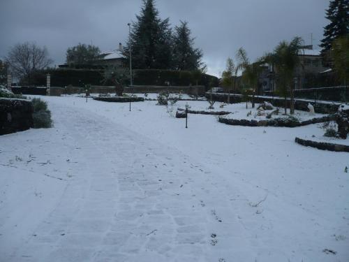 I Colori del Sole - image 2