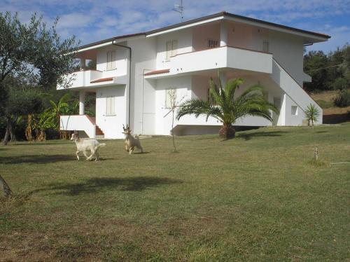 Agriturismo Seaview - image 4