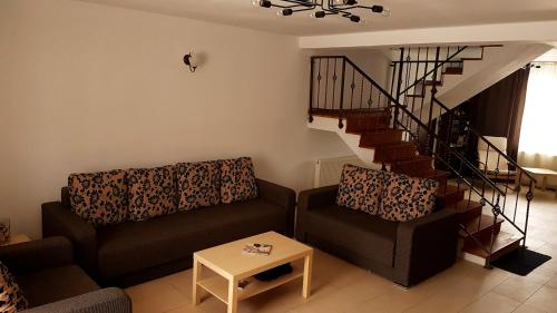 Pensiunea Casa Runcu Buzau