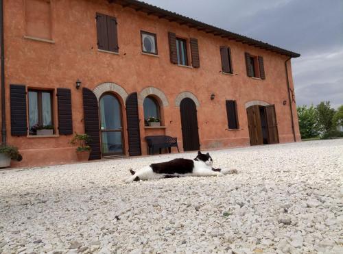 Agriturismo La Lenticchia - image 3
