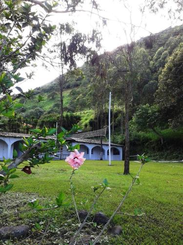 Hostería La Eterna Primavera