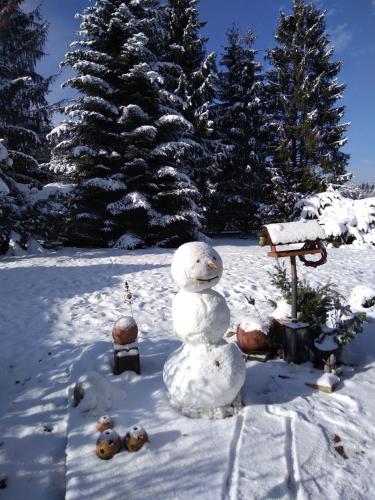 Wohnen im Hühnerhaus (Wohnen im Huhnerhaus) in 巴德 哈爾茨堡