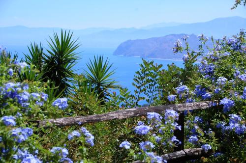 Agriturismo Santa Margherita