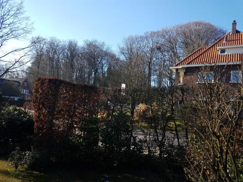 Hotels Image