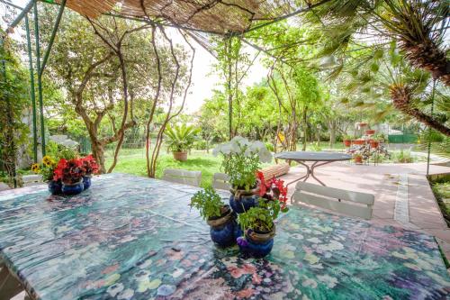 B&B Casina de Goyzueta - image 4
