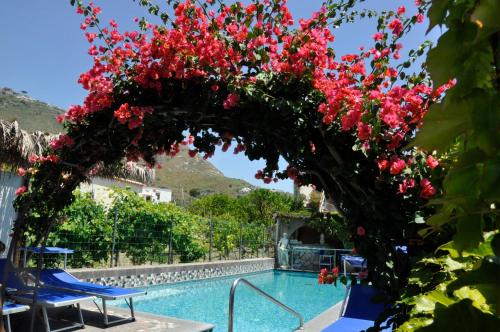 Hotel Casa Giuseppina - image 6