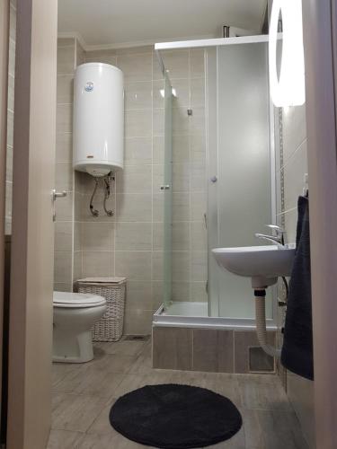 Danube Apartment