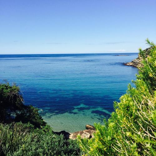Coogee Beach House - image 8