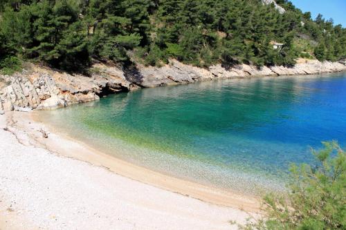 Apartments by the sea Cove Mala Pogorila Hvar - 8952 - image 7