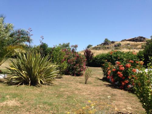  Quinta de Santo António in Vila Real