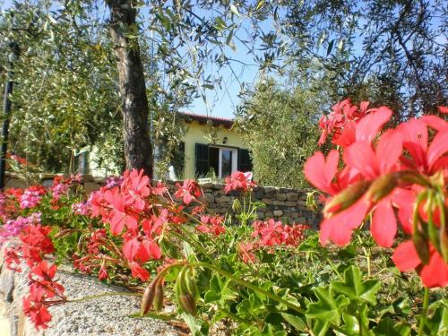  Agriturismo Green House, Santo Stefano al Mare bei Valloria Marittima