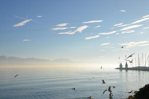 ทัศนียภาพ, BnB chez Fanfan in มอร์เฒ