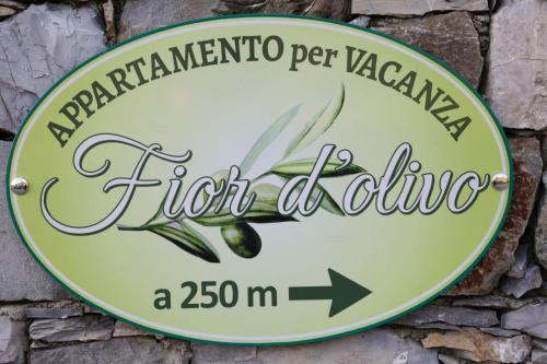  Fior d'olivo in Santo Stefano del Ponte