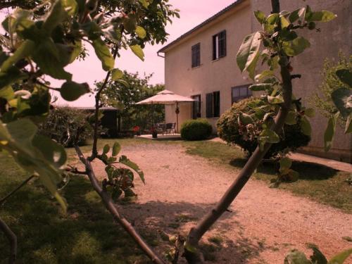  Apartments Krajcer in Marčana