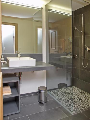 Hotel Steinbock - image 12