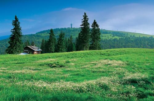 MINAROSO appartements am badeparadies MINAROSO appartements am badeparadies