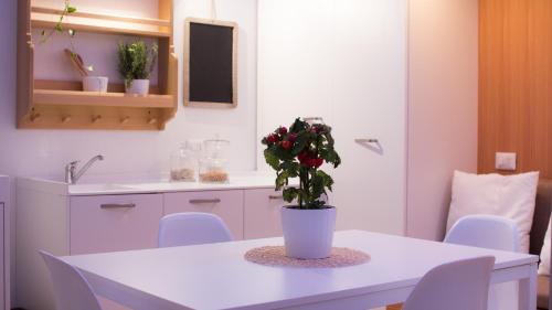 Ecosuite & SPA - main image