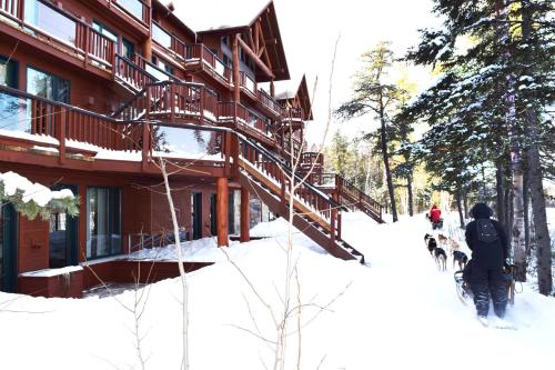 Les Condos Du Lac Taureau- Rooms & Condos - Accommodation - Saint-Michel-des-Saints