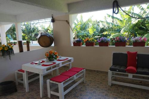  Tabua House in Ribeira Brava