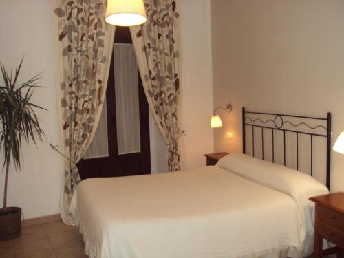 Hostal Fenix - image 13