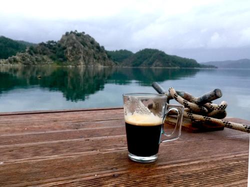  Orhaniye Incir Bungalow, Beach & Restaurant in Orhaniye