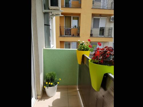 balkong/terrass, Apartman Boska in Prozivka
