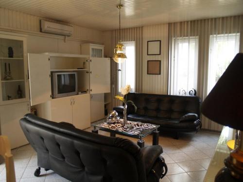 Royal 6 Ahmet - image 3