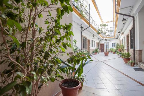 Maravilloso dúplex en Sevilla Escoberos, Sevilla (Foto 7)