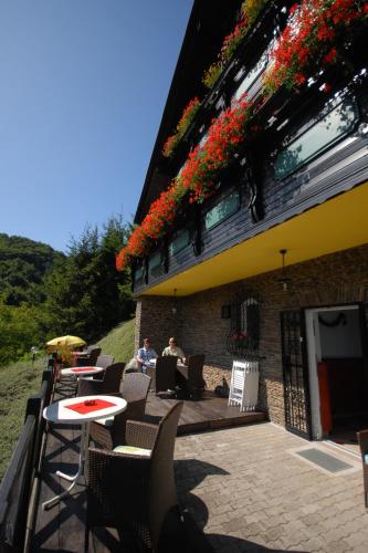 Aed, Pod Orehi Guest House in Loce