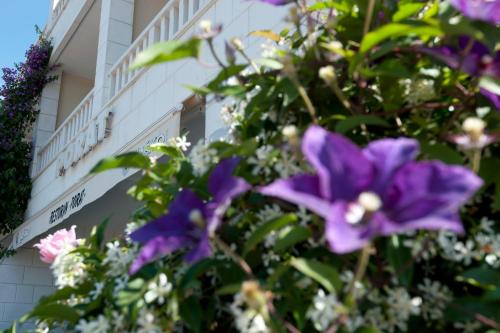 Hotel Porat - image 2