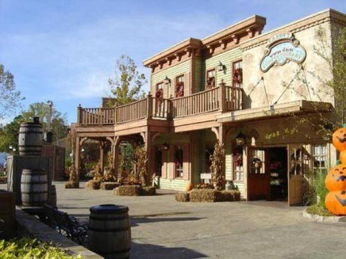 Cozy Stone Mountain Villa - image 3