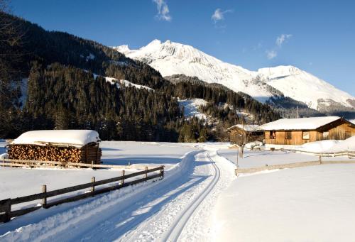 Programlehetőségek, Ferienhaus Gapp in Elmen