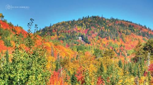 Le Ti Moose - Les Chalets Spa Canada