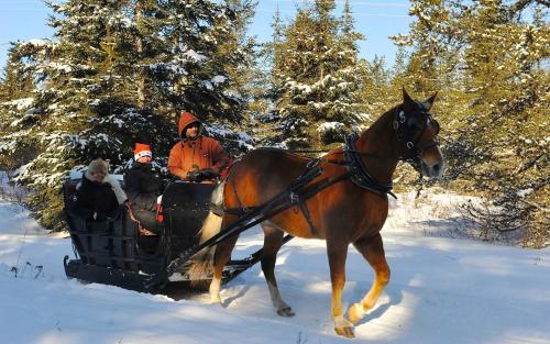 Le Ti Moose - Les Chalets Spa Canada