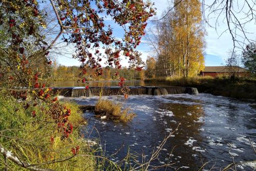 Pärus Fors