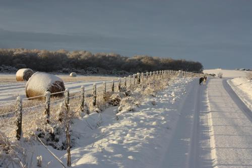 Anniston Farm Cottages